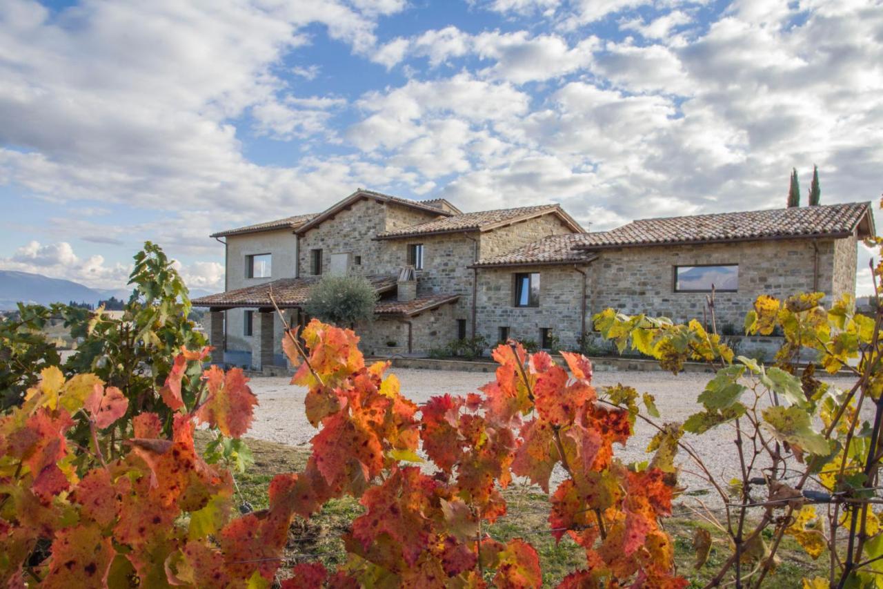 Fattoria Colsanto Villa Torre del Colle Exterior photo